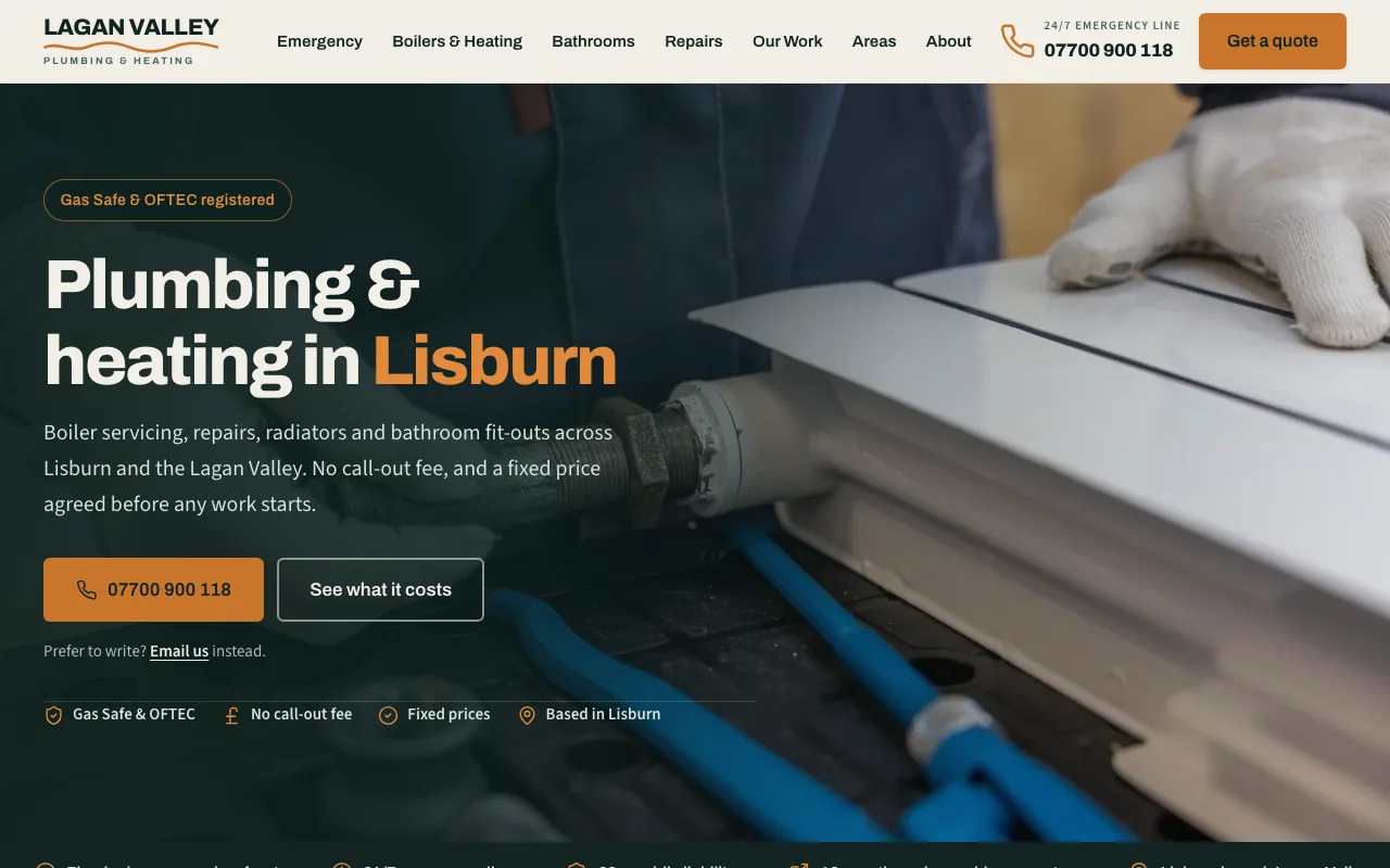 Lagan Valley Plumbing & Heating website